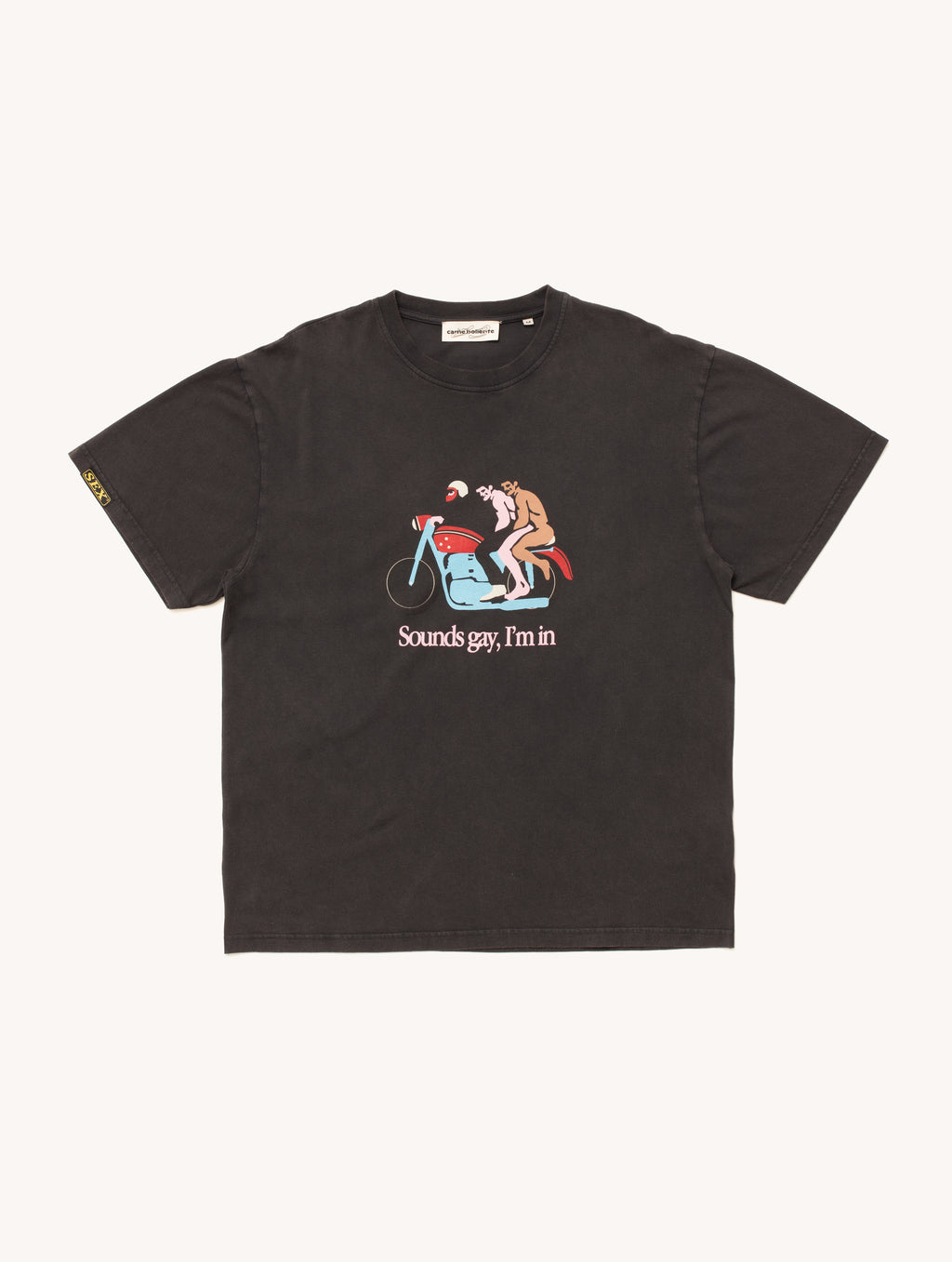 Sounds Gay, We're In T-shirt