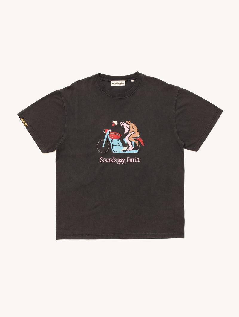 Sounds Gay, We're In T-shirt